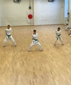 Shotokan Karate Barn – Let øvede/øvede (+7 år) 23/24
