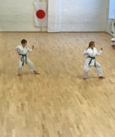 Shotokan Karate Barn – Begyndere/let øvede (7-12 år) 23/24