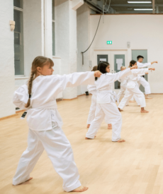 Shotokan Karate Ung – Let øvede/øvede (14-17 år) 23/24